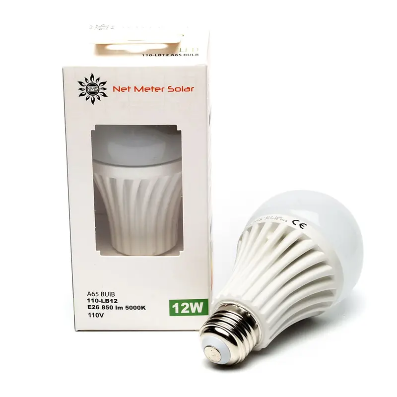 AC/DC LED Bulb – 110–220V Input, 12W, 60mm Diameter