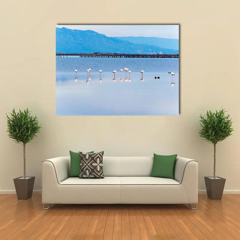 Aerial View of Flamingo Flock Canvas Art