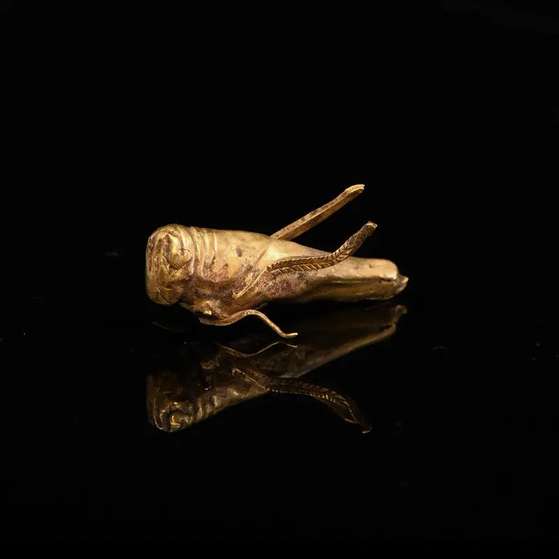 Biblical-Era Canaanite Golden Locust Figurine – Published 11th Century BCE Artifact