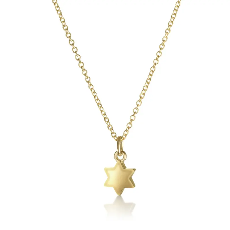 Delicate 14k Gold Star of David Pendant Necklace