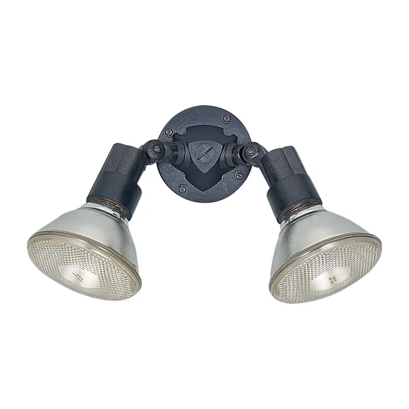 Dual-Head Adjustable Outdoor Swivel Floodlight