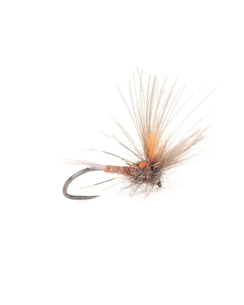 Golden Olive Split-Wing Dun Fly Pattern