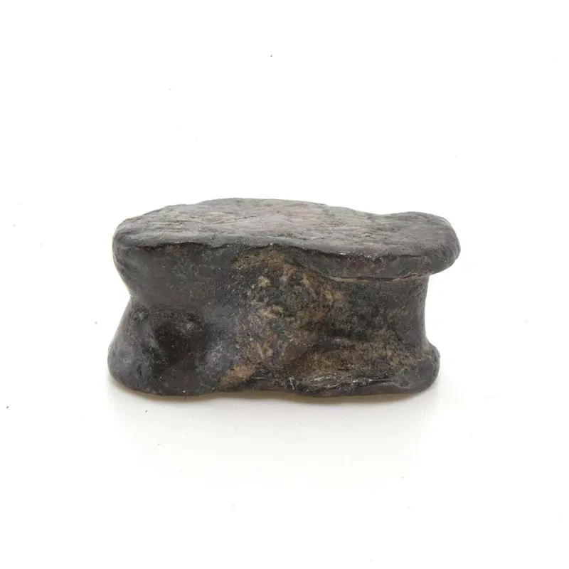 Hellenistic Bronze Astragalus Gaming Piece, 4th–2nd Century BCE