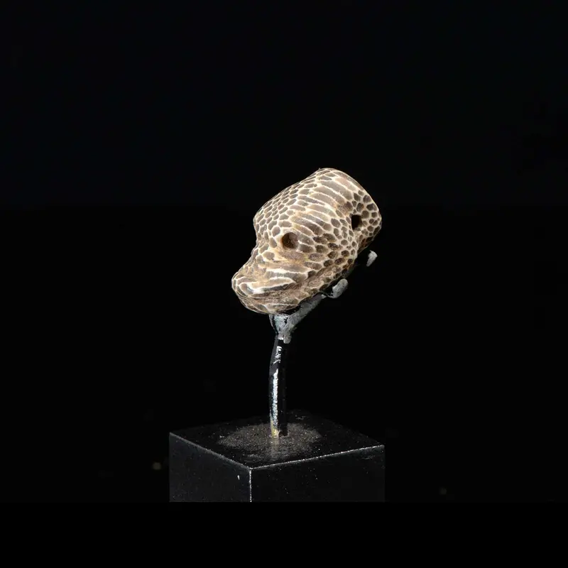 Near Eastern Snake-Head Amulet, Achaemenid Empire (550–330 BCE)