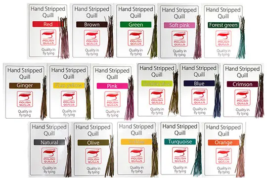 Polish Stripped Peacock Quill Sections – Natural Fly Tying Supply