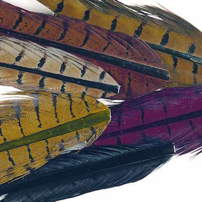 Veniard Cock Pheasant Centre Tail Feathers