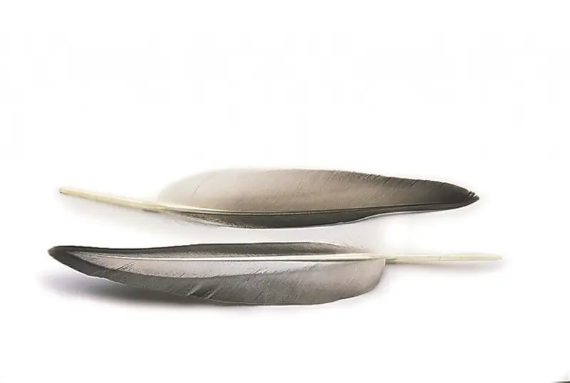 Veniard Mallard Duck Wing Quills – Grey Natural Feathers