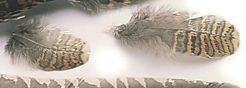 Veniard Woodcock Body Feather Pack