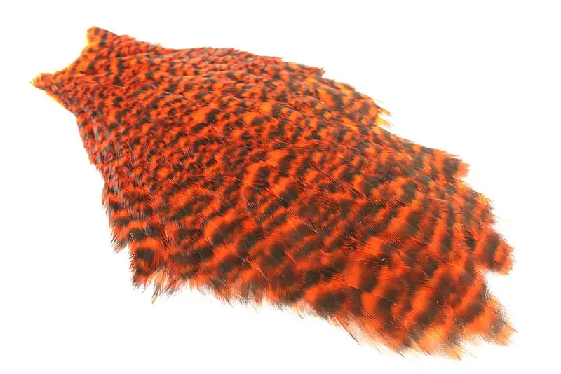 Whiting American Hen Cape – Premium Grade