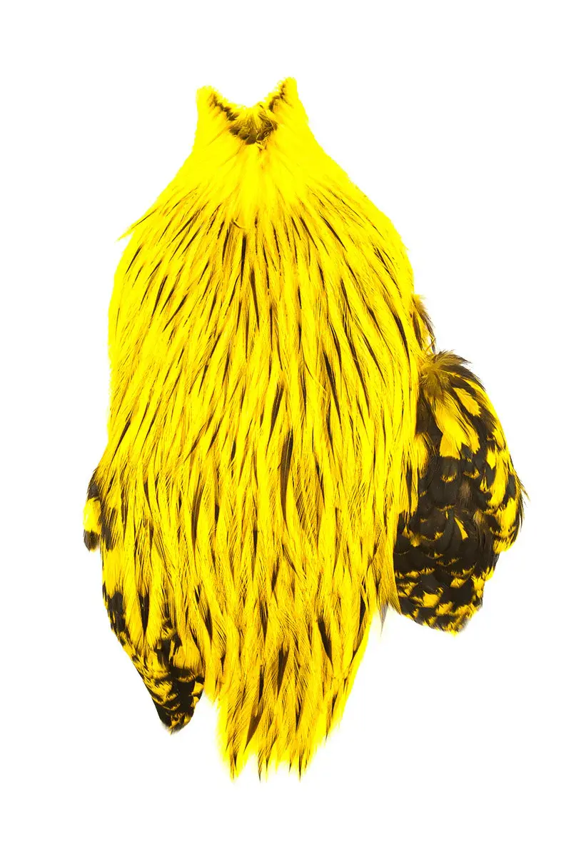 Whiting American Rooster Cape Feathers for Fly Tying