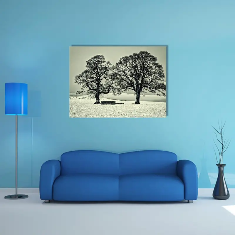Winter Trees Along the Scottish Borders Canvas Print